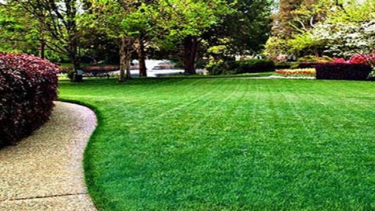 how-to-keep-your-lawn-in-tip-top-condition-all-year-long