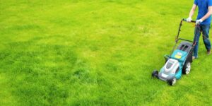 Read more about the article Why Should You Hire a Professional For Lawn Care Services?