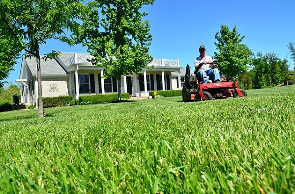 Read more about the article How to Prepare your Lawn to Pass the Cold Winter?